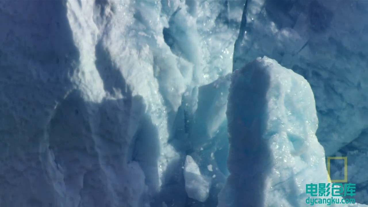 【国家地理.阿拉斯加食人鲨】National.Geographic.Alaskan.Killer.Shark.720p.mkv_sna.jpg