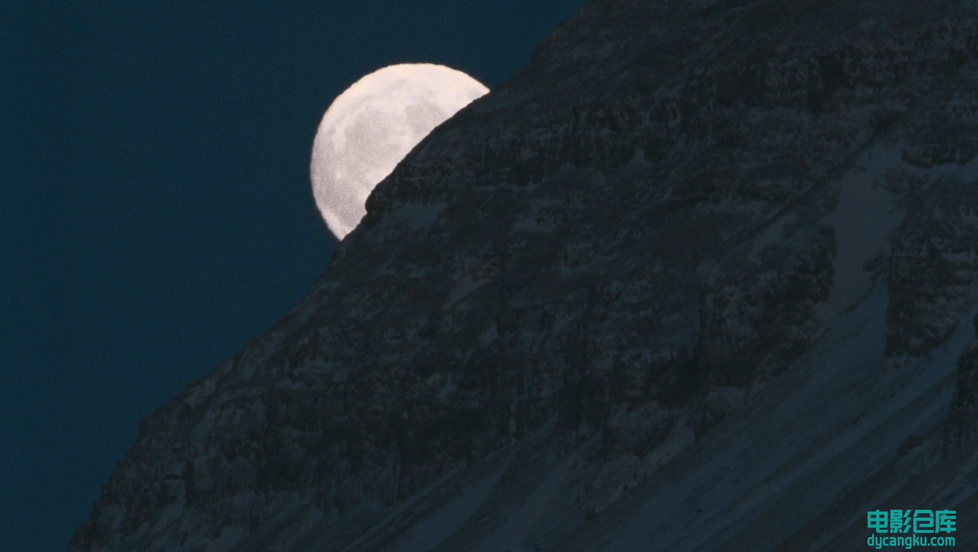 [电影仓库dycangku.com]国家地理.北极传说National.Geographic.Arctic.Tale.2007.Blur.jpg