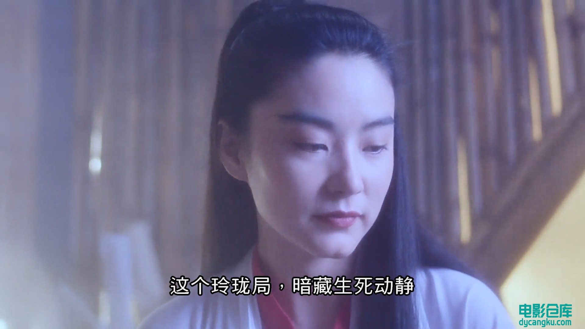 新天龙八部之天山童姥.1080p.国粤双语.BD中字[电影仓库dycangku.com].mp4_snapshot_00.jpg