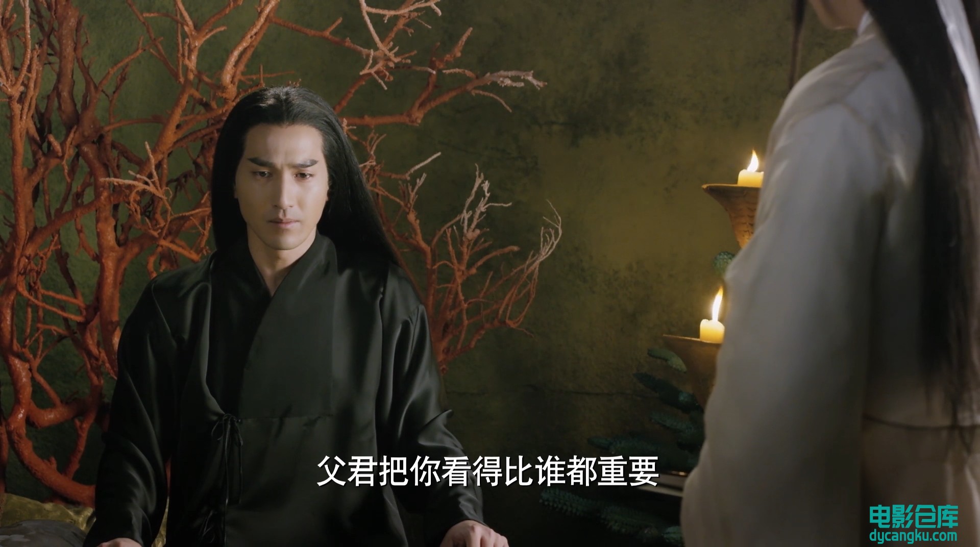 [电影仓库dycangku.com]三生三世十里桃花 Ten Great III of Peach Blossom EP20.1080P.jpg