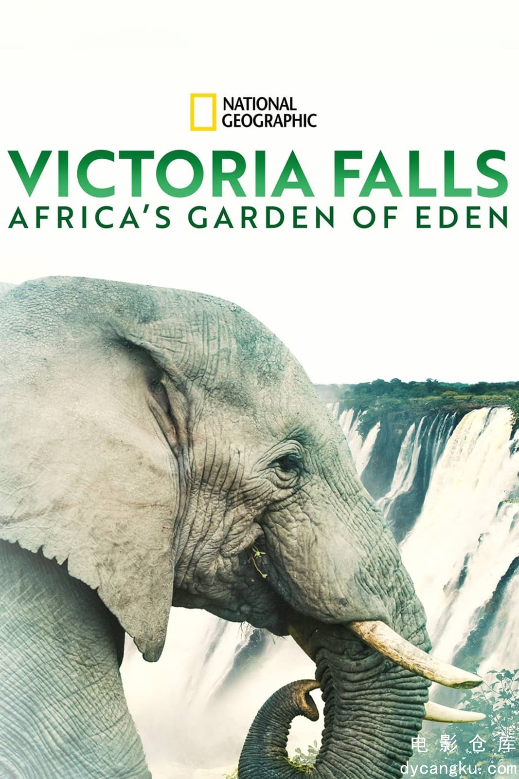 维多利亚瀑布：非洲的伊甸园2021.jpg