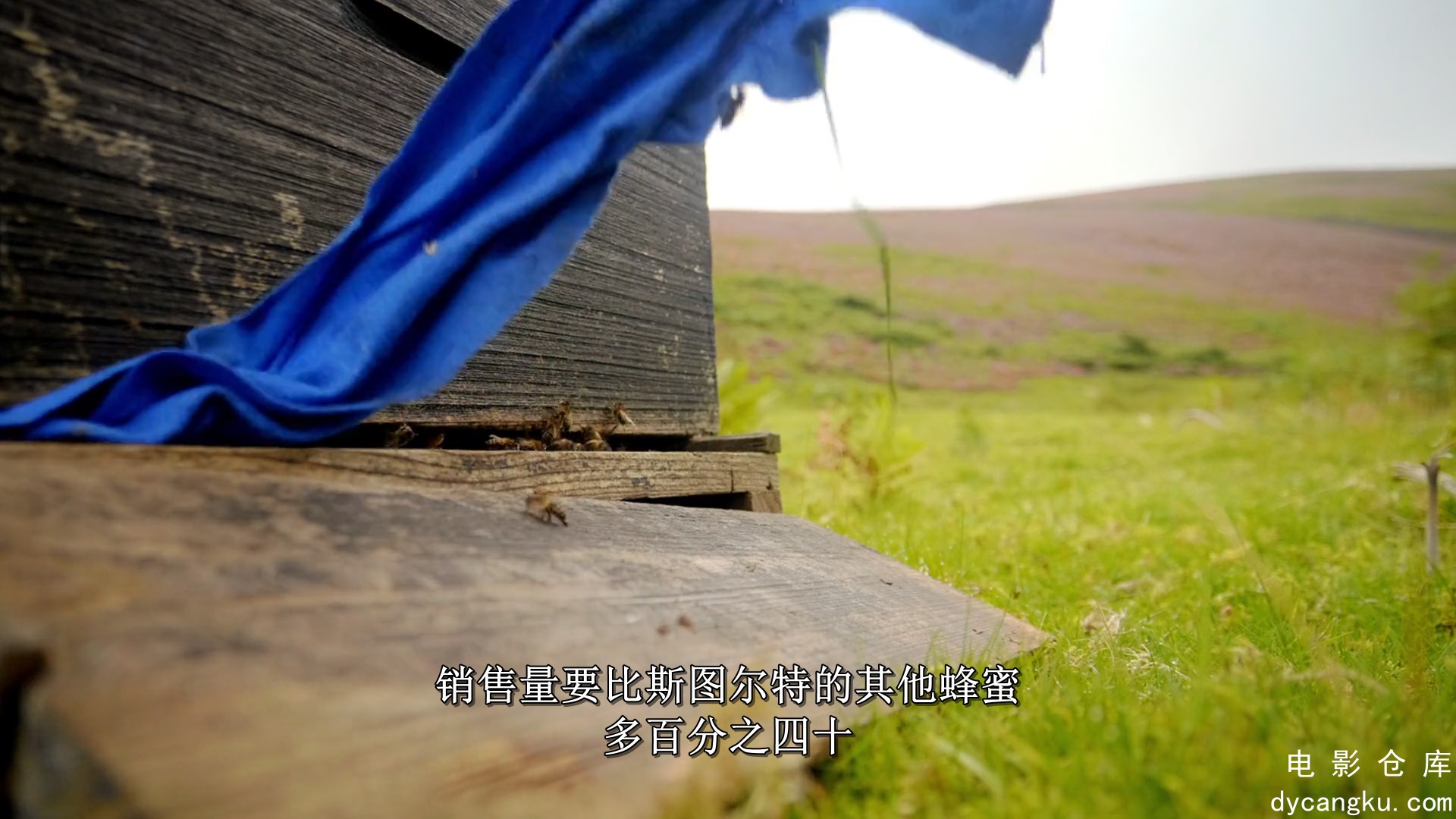[电影仓库dycangku.com]鸟瞰欧洲.苏格兰.Europe.From.Above.S04E01.Scotland.1080p.DS.jpg