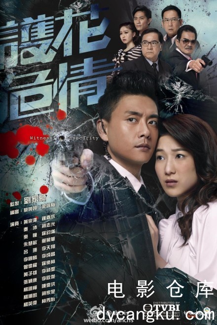 护花危情2012.jpg