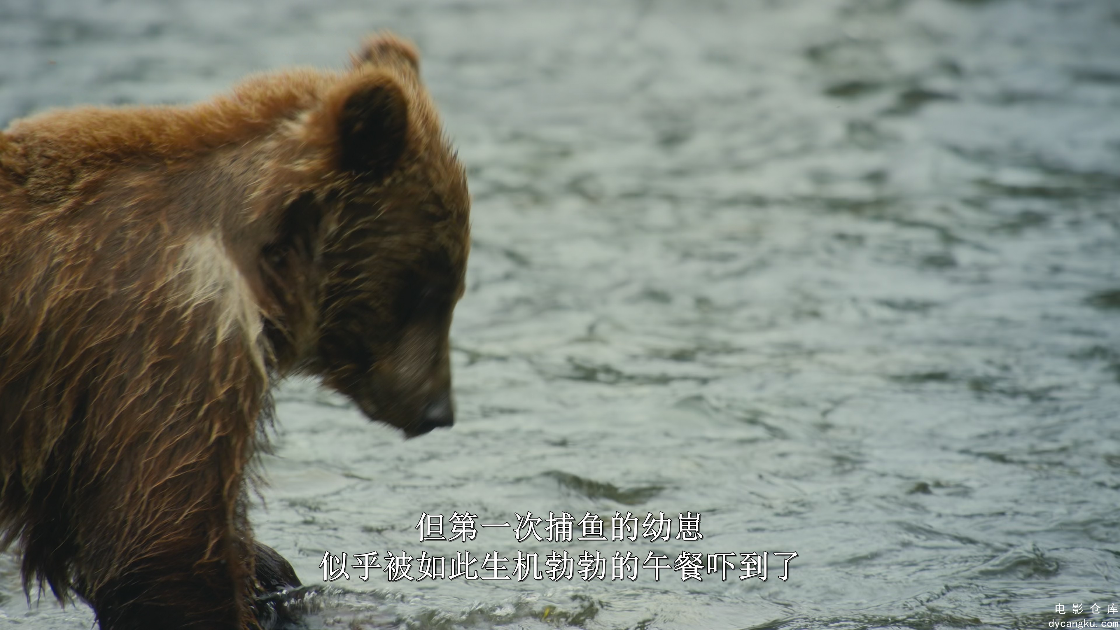 [电影仓库dycangku.com]Big.Beasts.S01E06.2160p.WEB.H264.mkv_snapshot_03.41.816.jpg