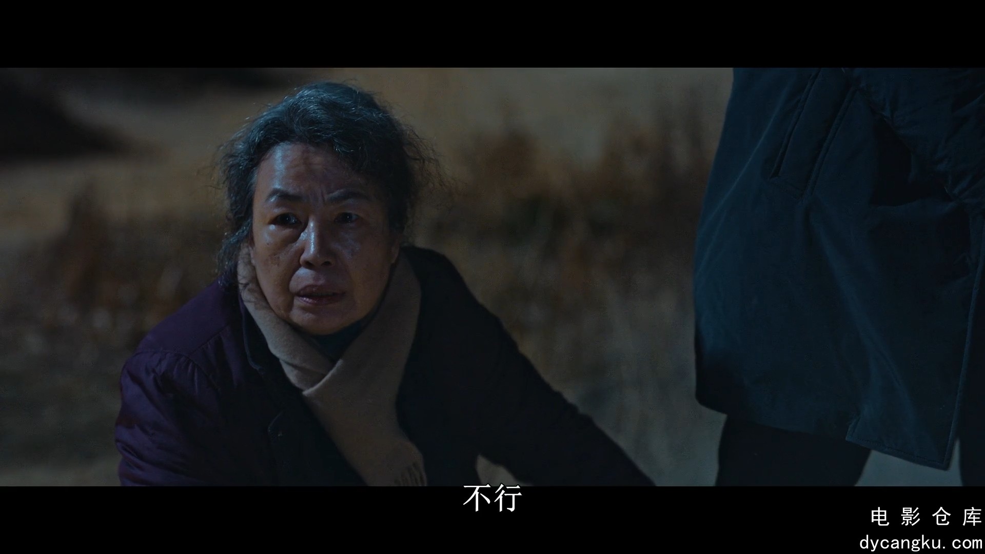 [电影仓库dycangku.com] 恶鬼.Revenant.S01E05.1080p.HD中字.mp4_snapshot_09.19.113.jpg