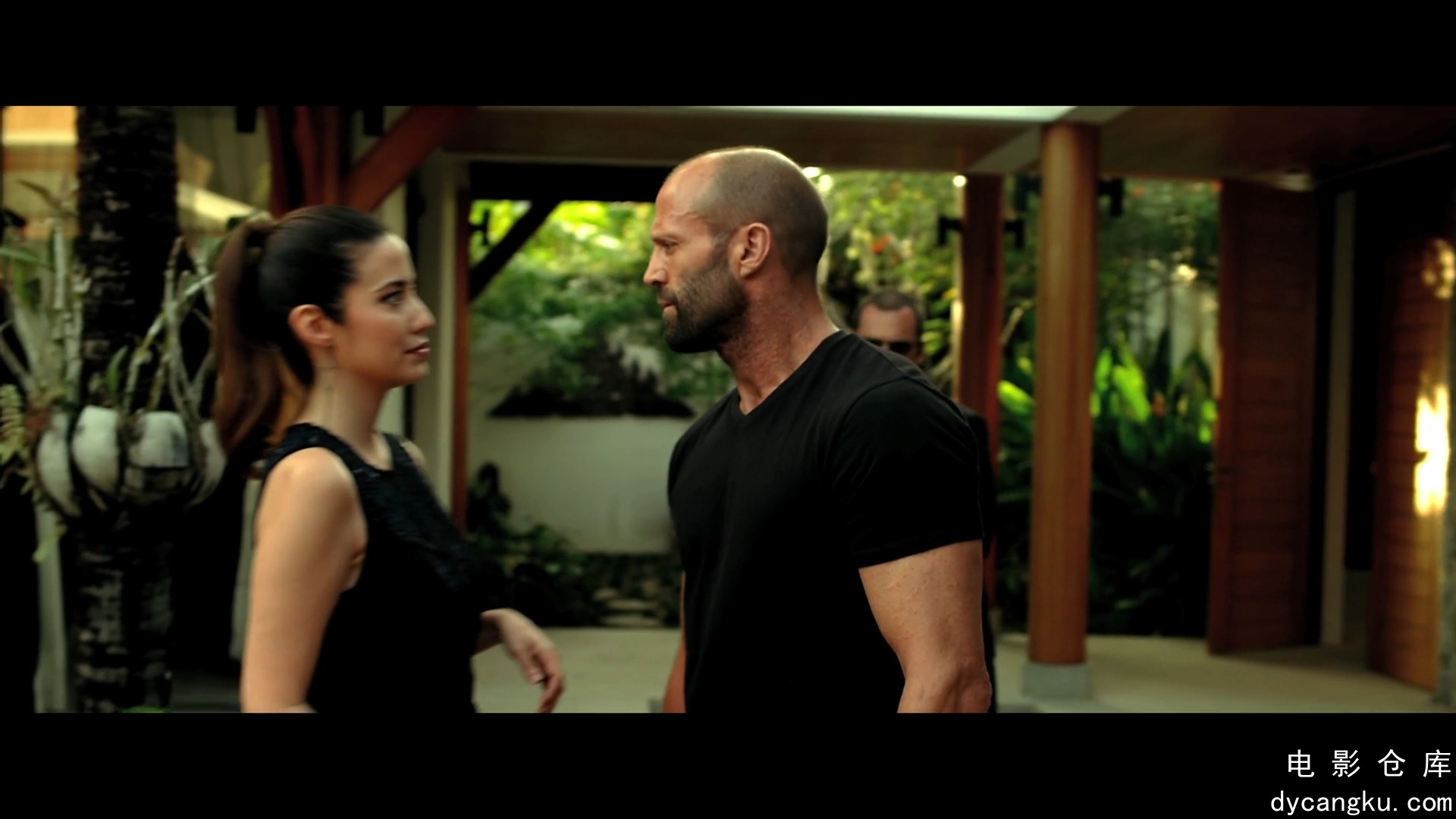 [电影仓库dycangku.com]机械师2.Mechanic.Resurrection.2016.R6.HD1080P.X264.AAC.Man.jpg