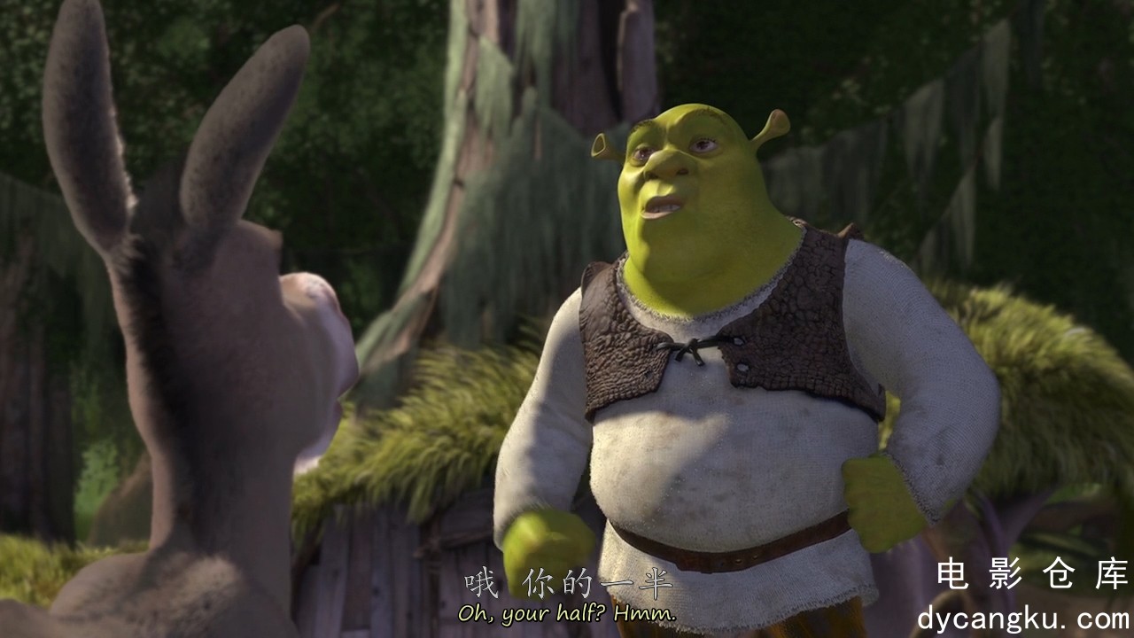 [电影仓库dycangku.com]怪物史瑞克1.Shrek.I.2001.BluRay.720p.x264.AC3.3Audios.mkv_.jpg