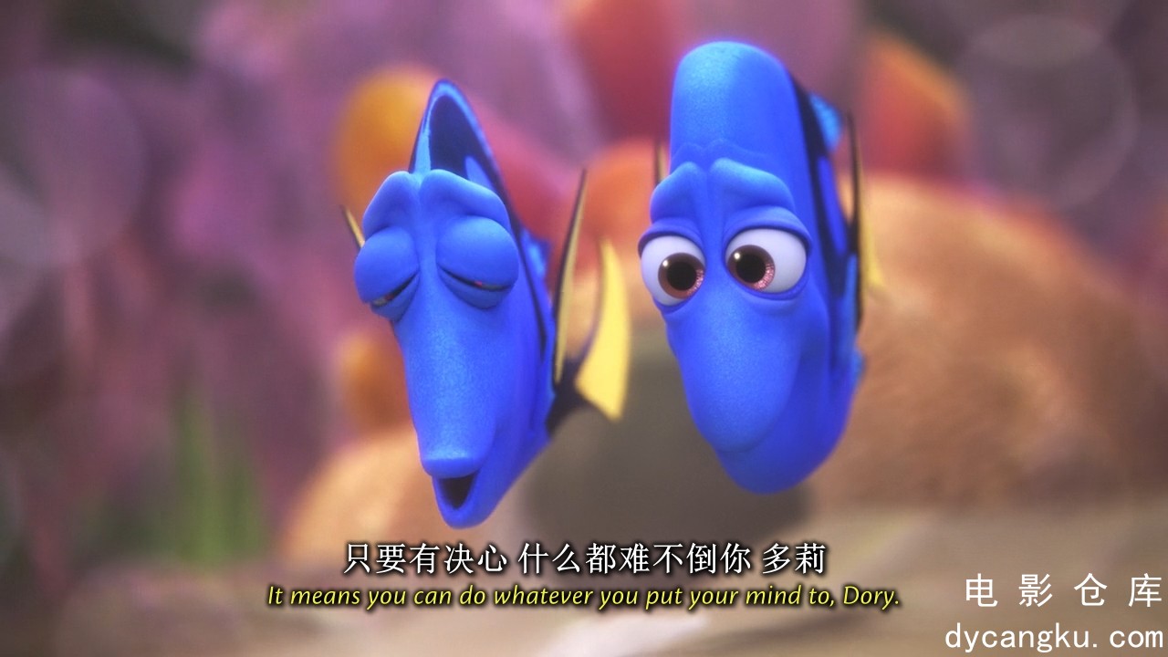 [电影仓库dycangku.com]海底总动员2：多莉去哪儿.Finding.Dory.2016.BluRay.720p.x264.jpg