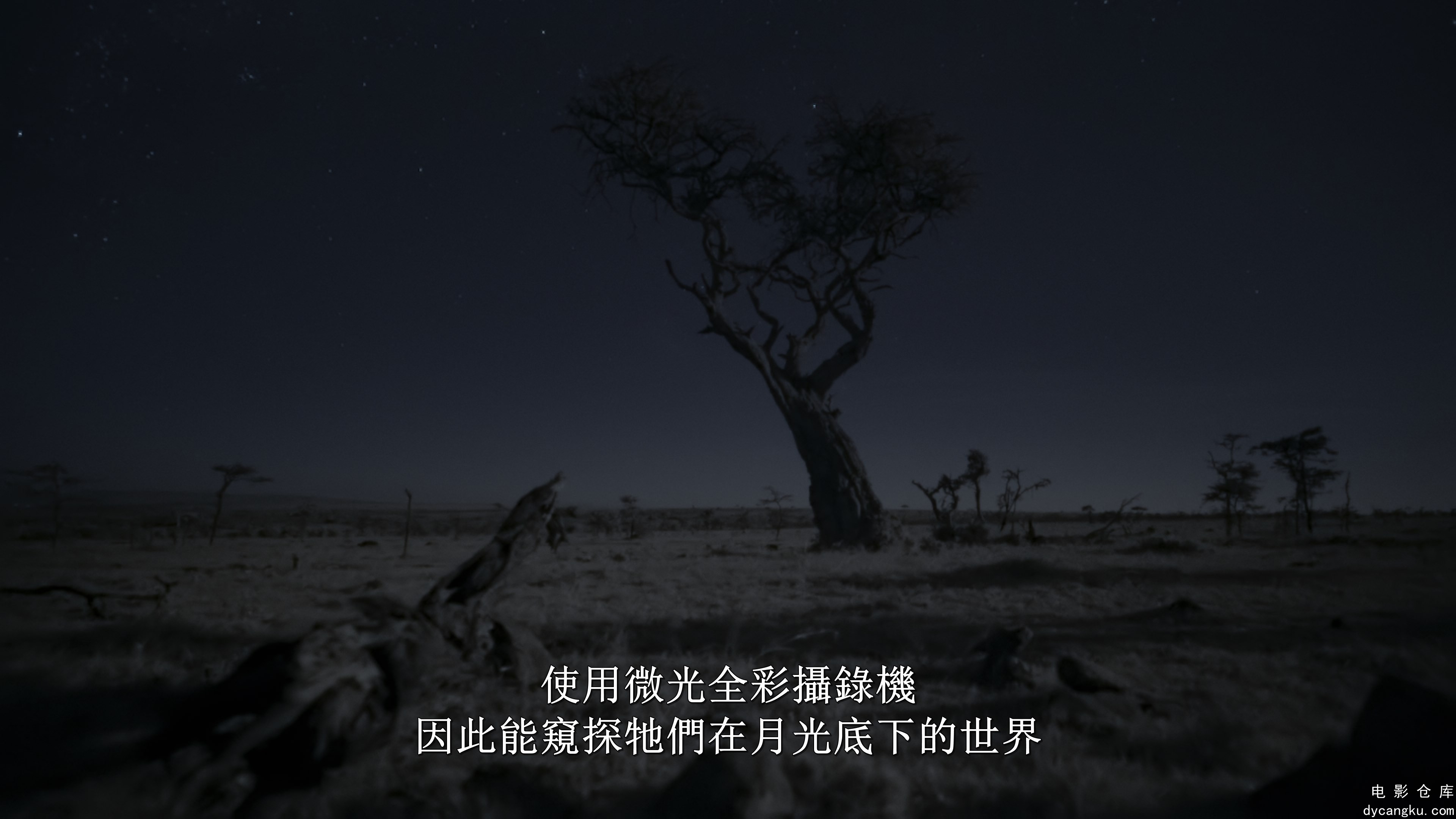 [电影仓库dycangku.com]夜色中的地球.S1.01.mkv_snapshot_05.03.845.jpg
