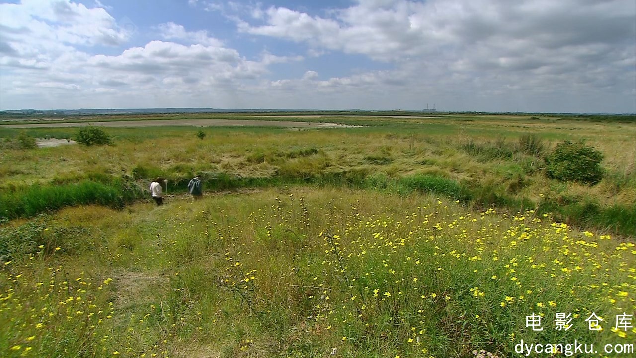 [电影仓库dycangku.com]生命博物馆.2010.720P.E01.mkv_snapshot_50.40.910.jpg