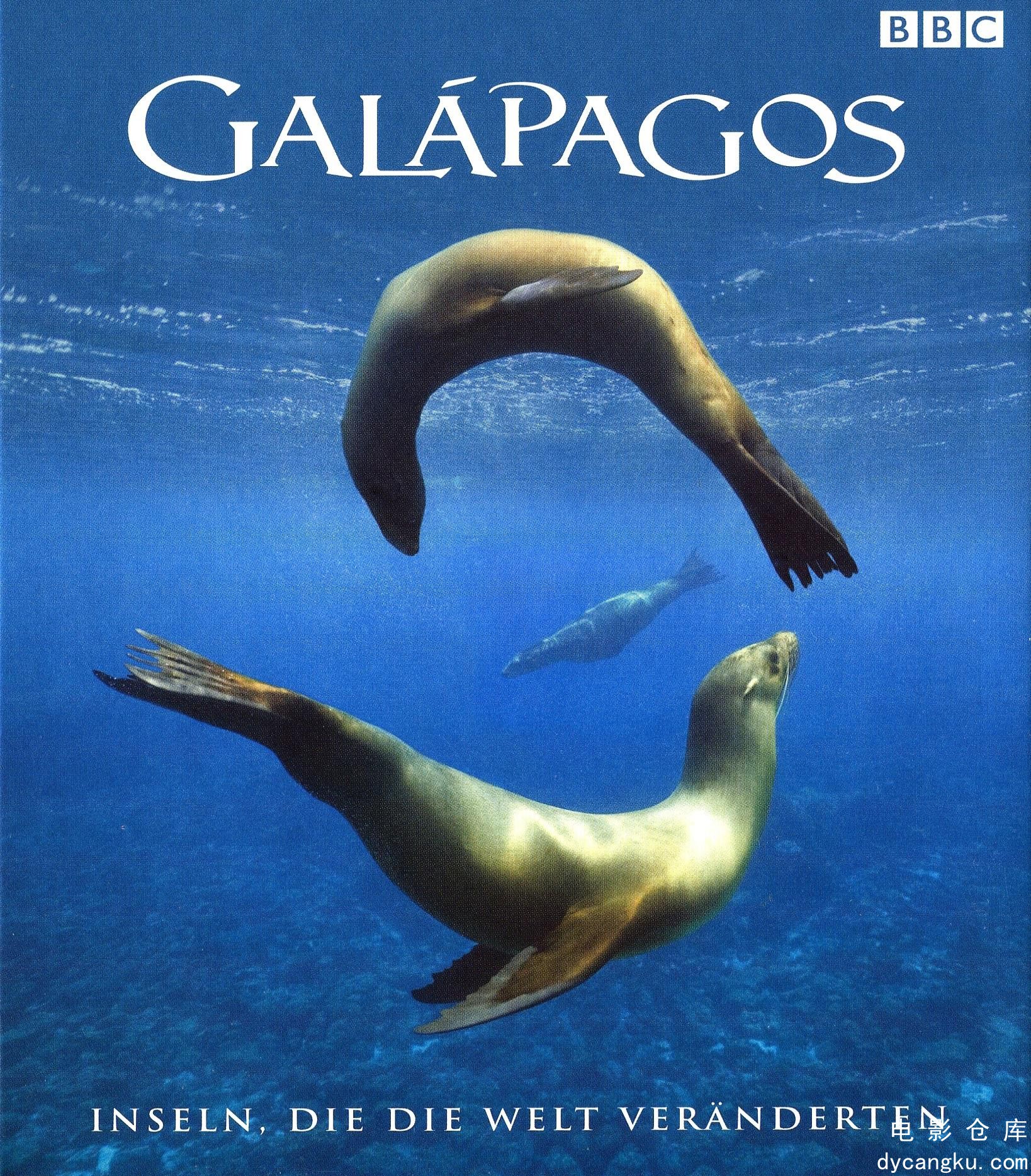 加拉帕戈斯群岛2007.jpg