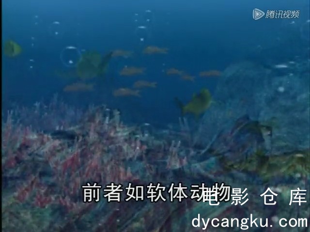 [电影仓库dycangku.com]蓝猫海洋系列第220集.mp4_snapshot_07.25.871.jpg
