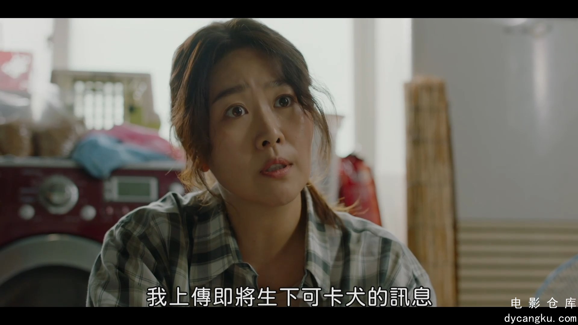 [电影仓库dycangku.com]My.Heart.Puppy.2023.1080p.MyVideo.WEB-DL.DDP.5.1.H.264.mkv.jpg