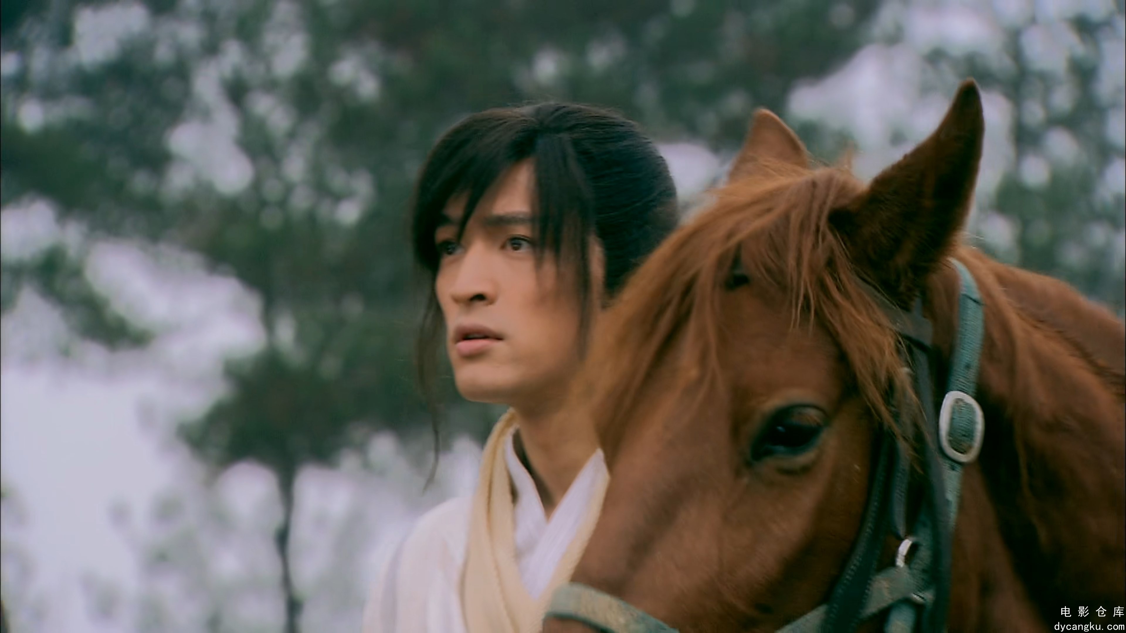 [电影仓库dycangku.com]The.Legend.of.the.Condor.Heroes.2008.S01E50.2160p.WEB-DL.H.jpg