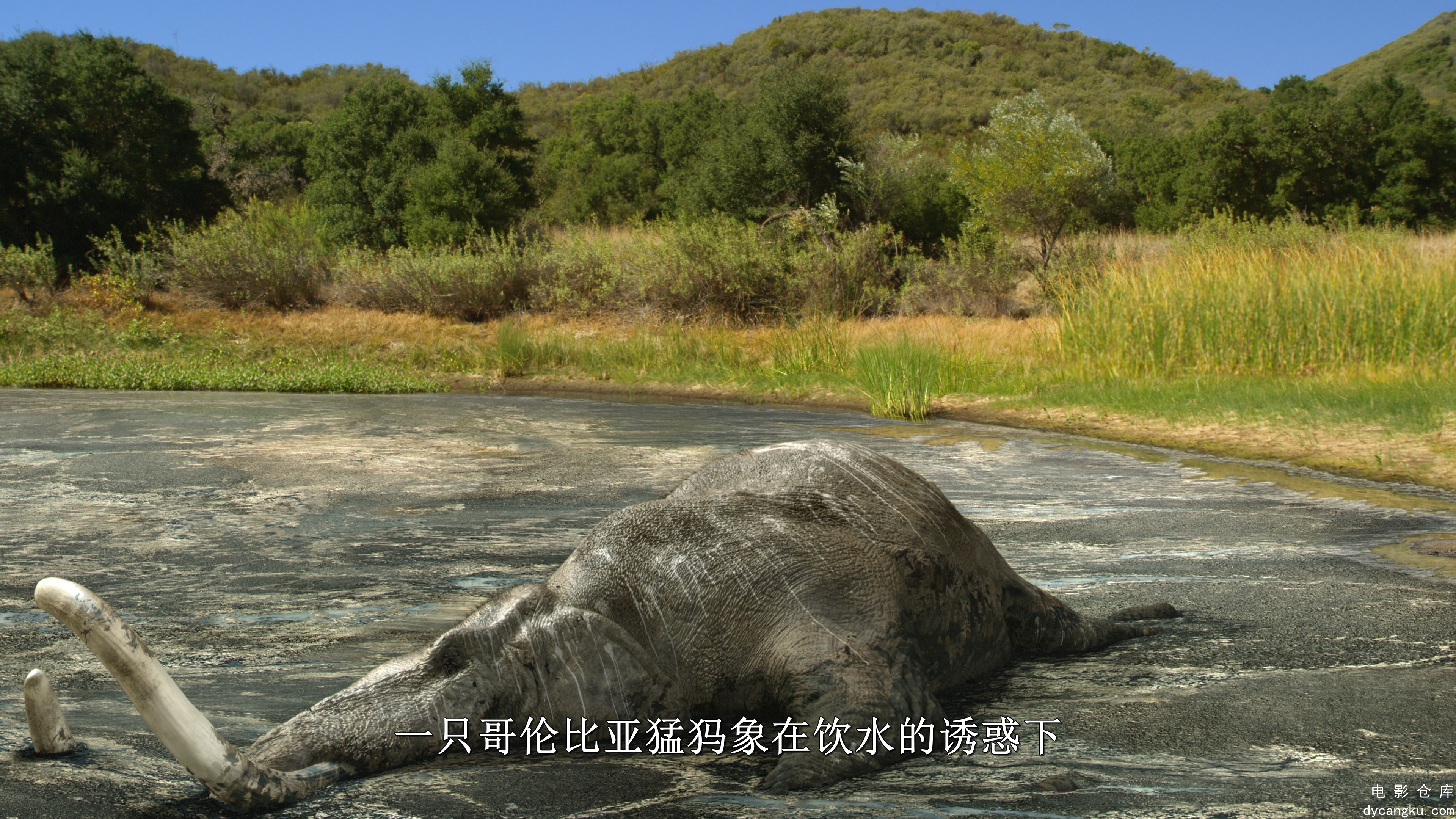 [电影仓库dycangku.com]Titans.of.the.Ice.Age.2013.DOCU.2160p.BluRay.REMUX.AVC.DTS.jpg