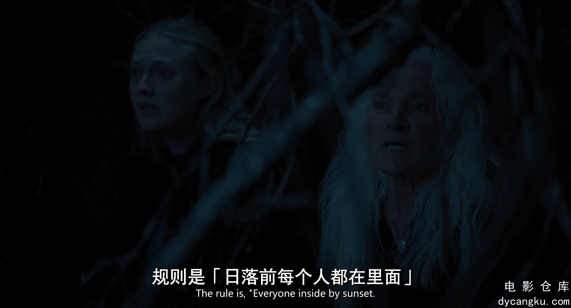 [电影仓库dycangku.com]shenmikuishi.the.watchers.2024.1080p.中英字幕.mp4_snapshot.jpg