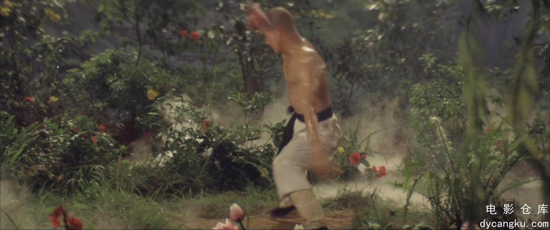 [电影仓库dycangku.com]少林寺.Shaolin.Temple.1982.BluRay.1080p.x265.10bit.2Audio..jpg