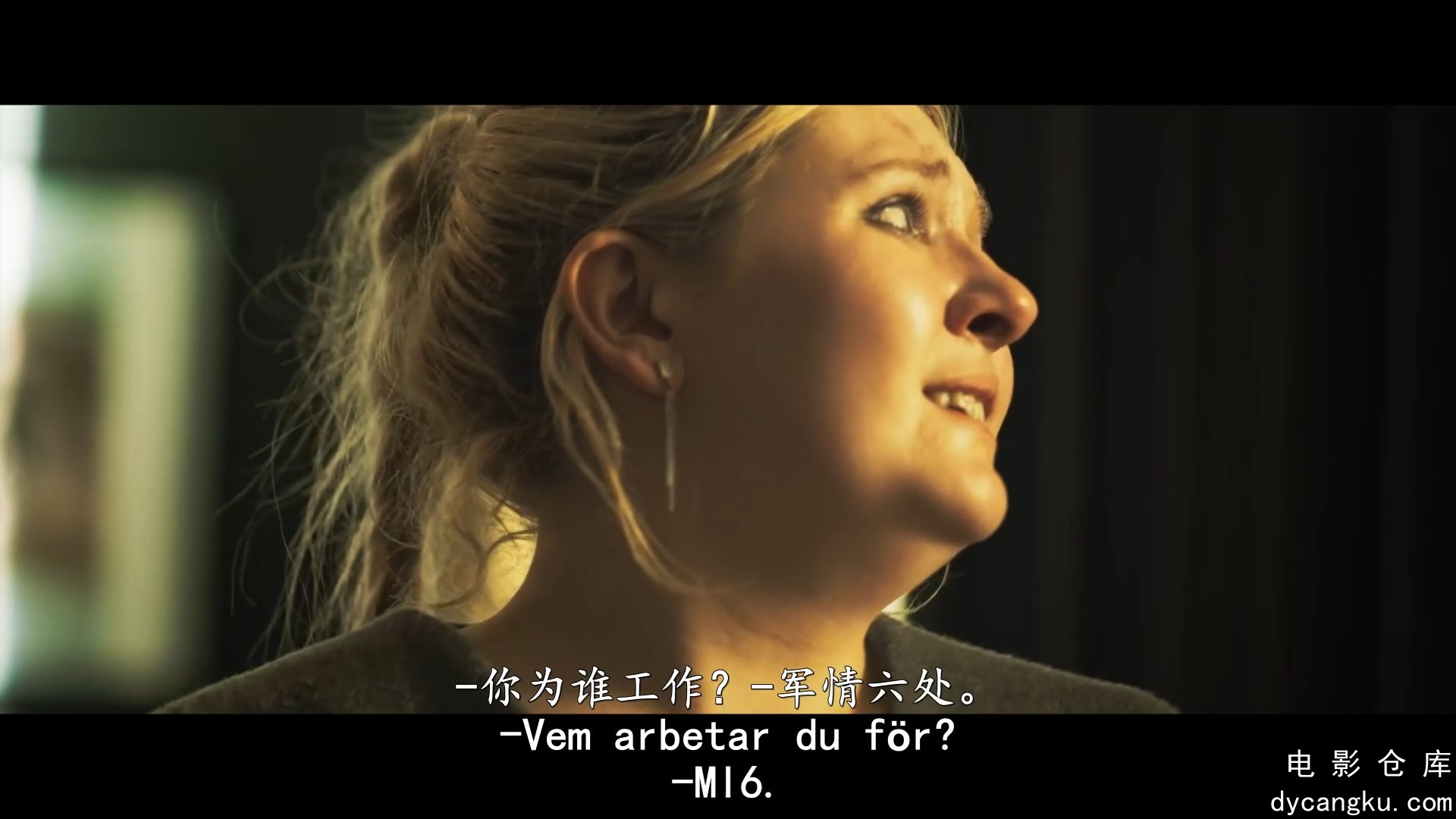 [电影仓库dycangku.com]Classified.2024.NORDiCSUBS.1080p.WEBRip.10Bit.x265.中字.mp.jpg