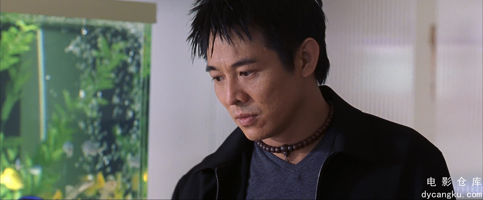 [电影仓库dycangku.com]致命摇篮.Cradle.2.the.Grave.2003.BluRay.1080p.x265.10bit.2.jpg