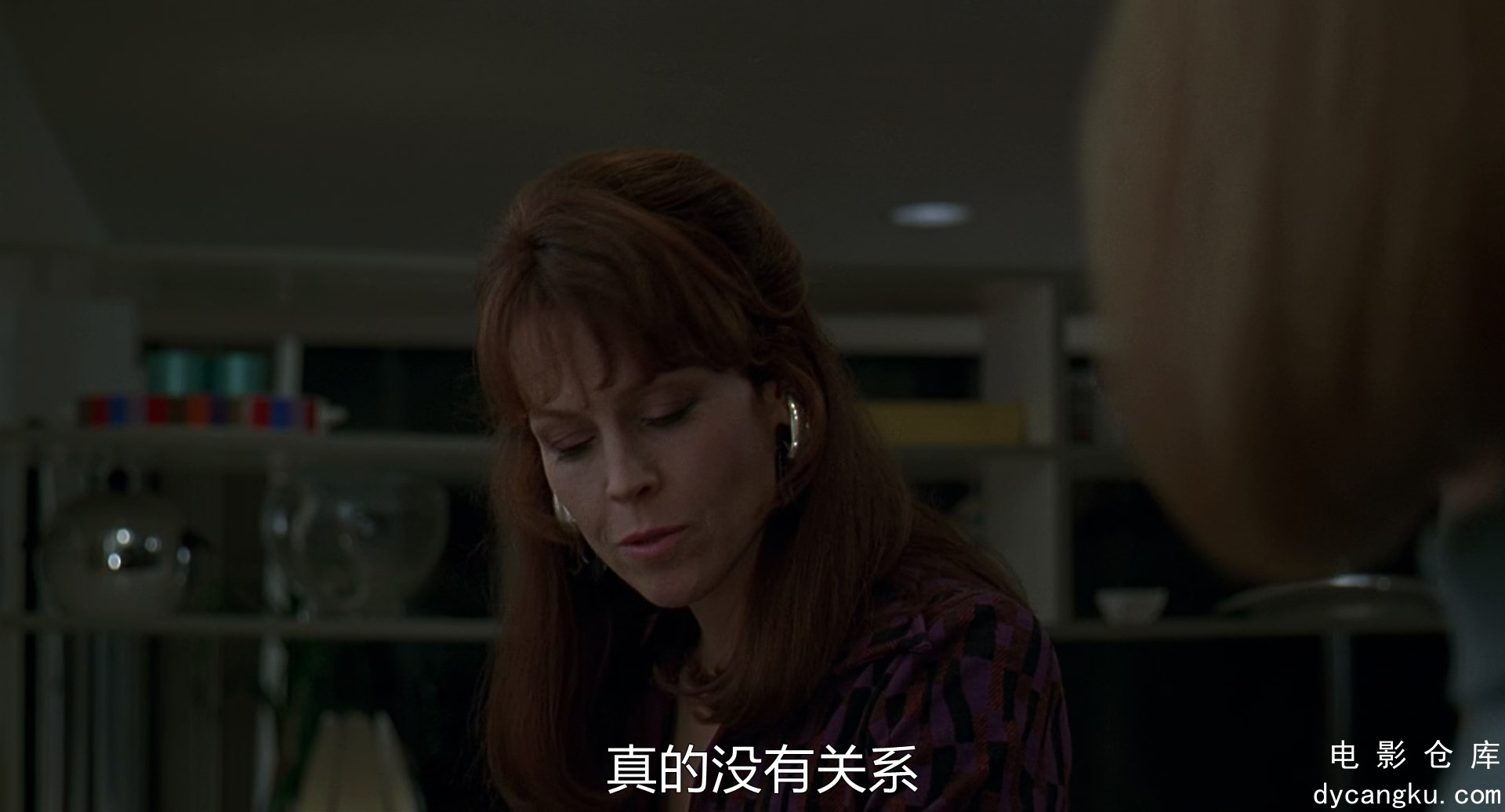 [电影仓库dycangku.com]The.Ice.Storm.1997.BluRay.1080p.x265.10bit.mkv_snapshot_00.jpg