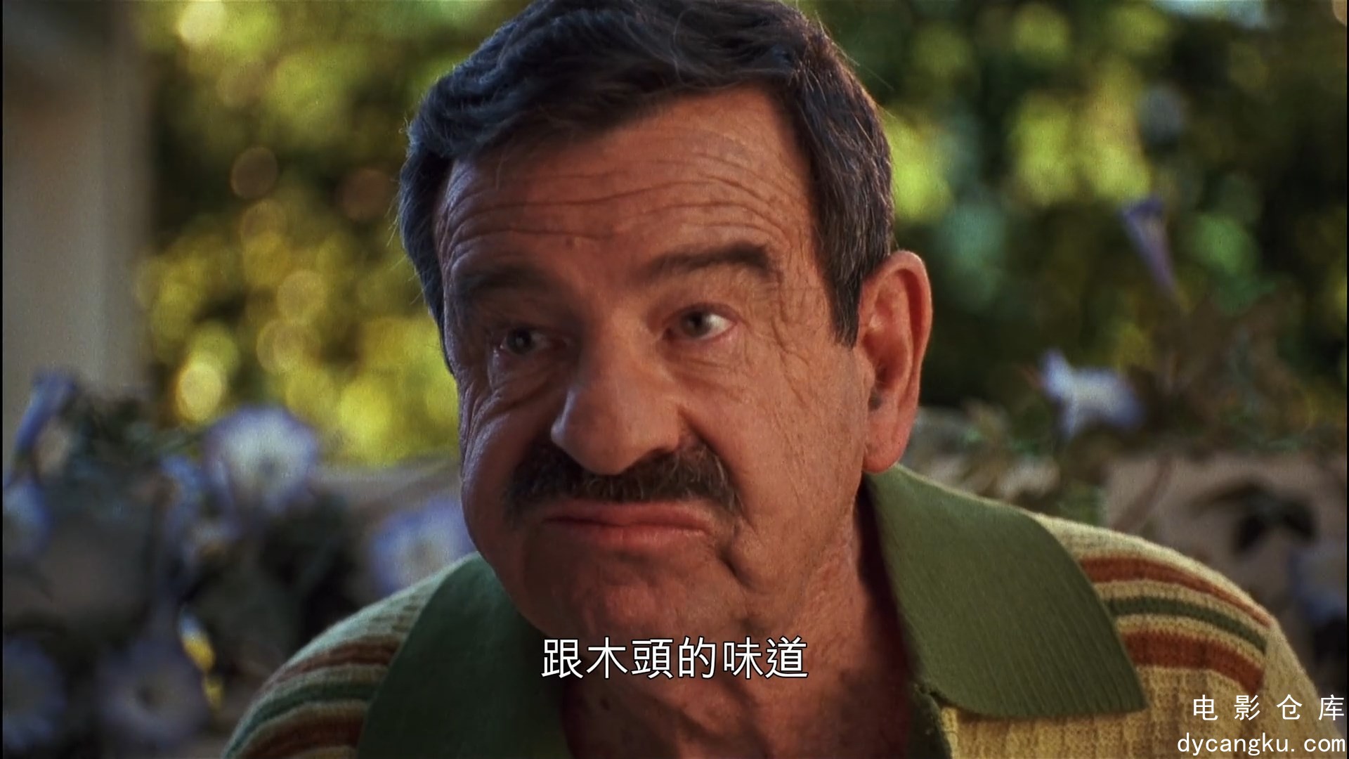 [电影仓库dycangku.com]邻家X鬼.1993 1080p.内嵌中字.mp4_snapshot_00.29.02.148.jpg