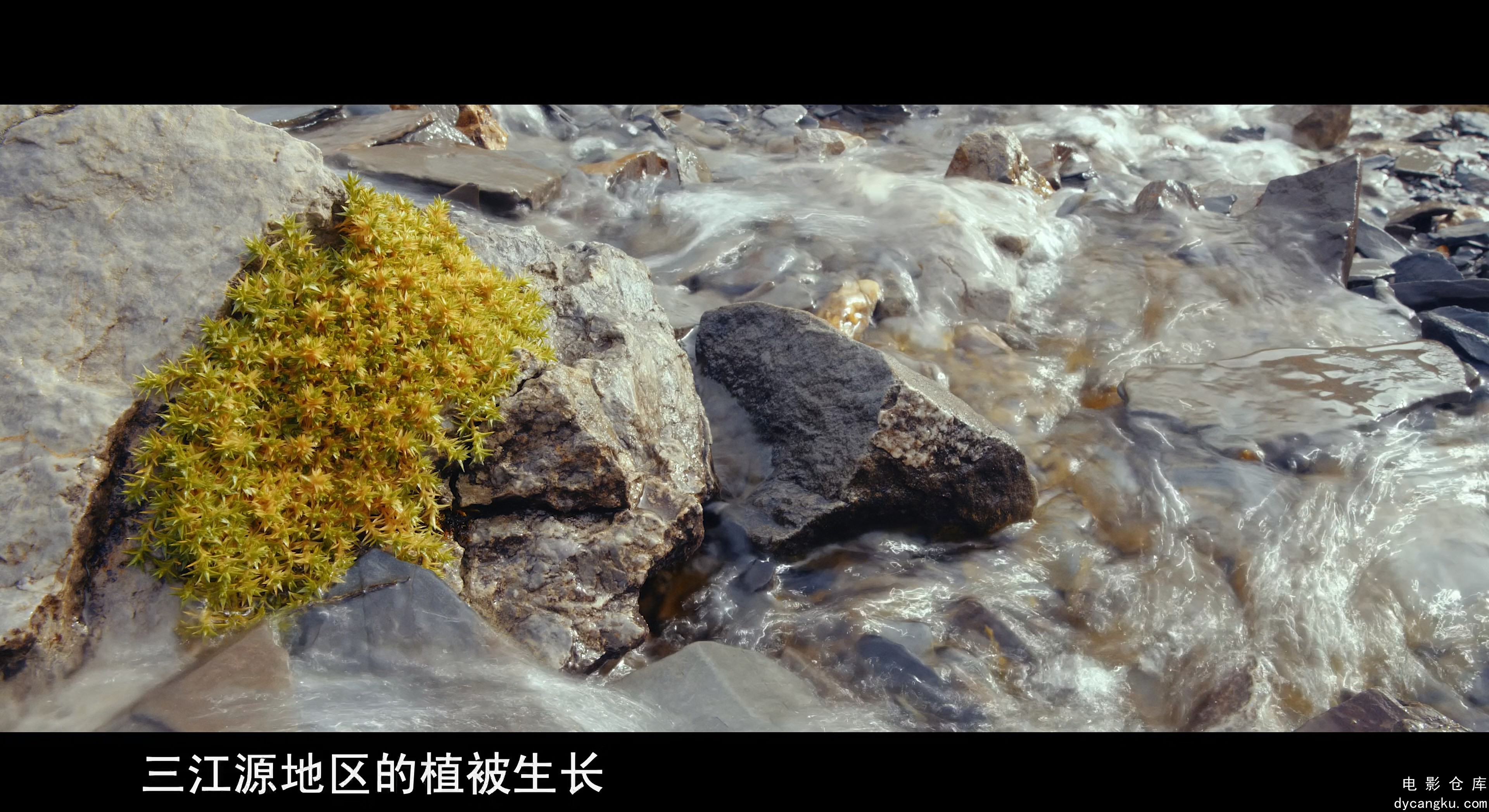 [电影仓库dycangku.com]Echoes.from.the.Land.of.Green.2024.S01E02.2160p.WEB-DL.H26.jpg