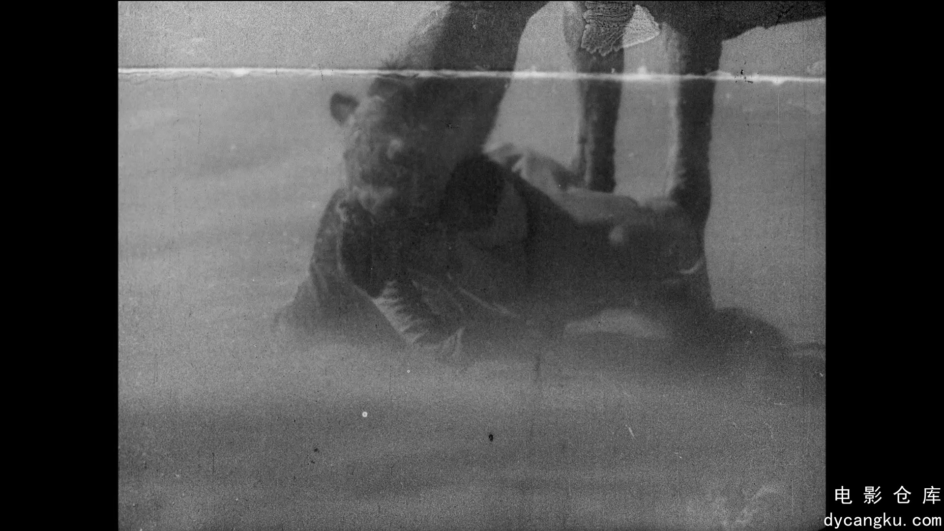 [电影仓库dycangku.com]Turksib.1929.1080p.BluRay.Remux.AVC.FLAC.2.0.mkv_snapshot_.jpg