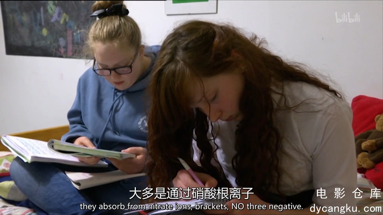 [电影仓库dycangku.com]Are.Our.Kids.Tough.Enough.Chinese.School.2015.S01E03.720p..jpg