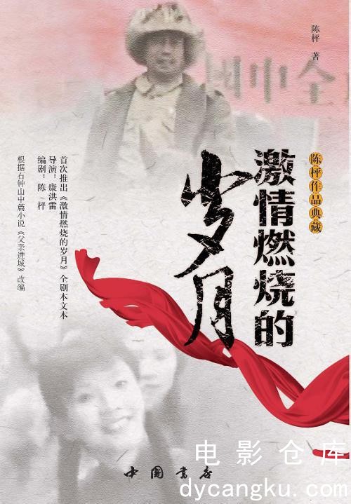激情燃烧的岁月2001.jpg